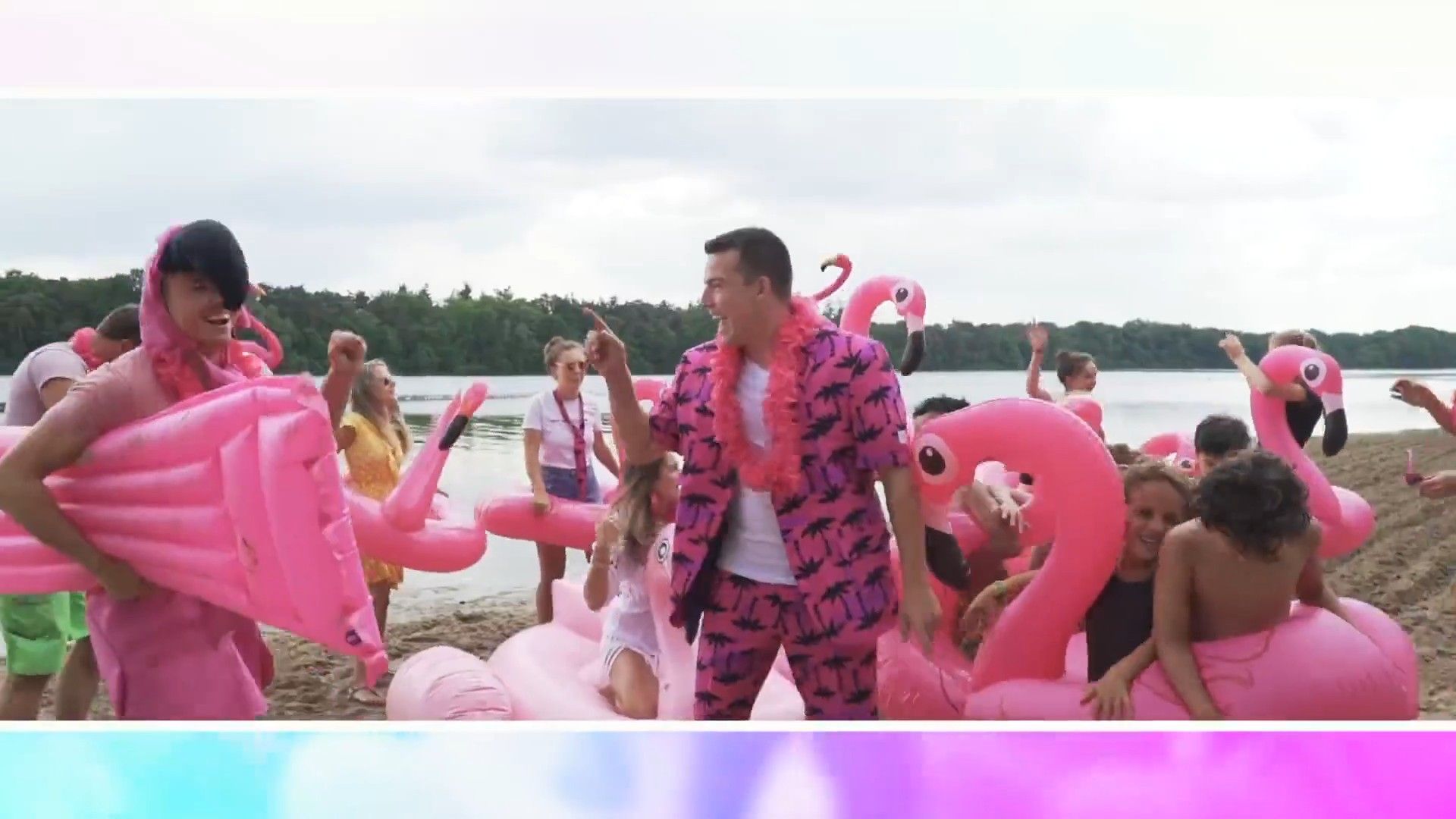 Ferry De Roze Flamingo background