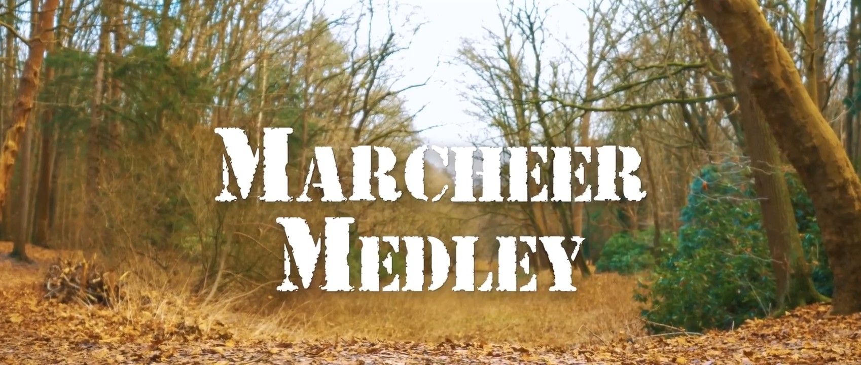 Marcheer Medley (Carnaval 2022) background