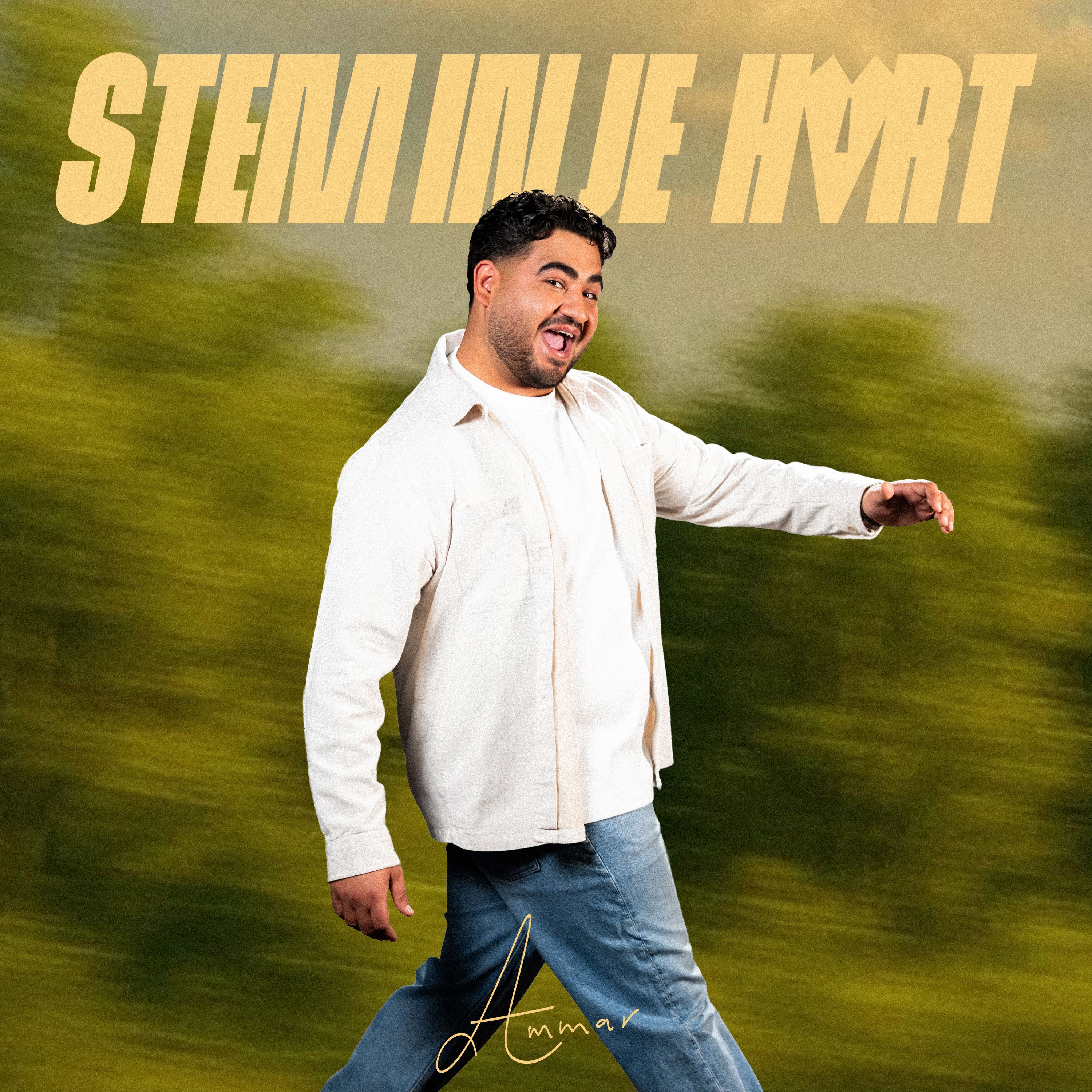 Stem In Je Hart background