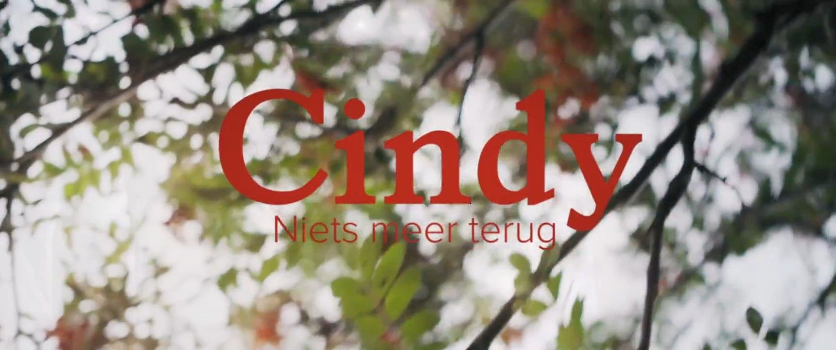 Niets Meer Terug background